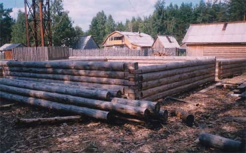гнилой сруб